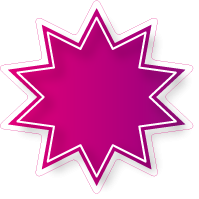 Raamsticker ster ST-006