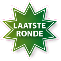 Raamsticker ster ST-009