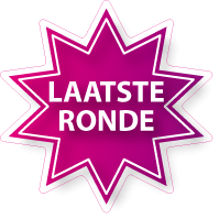 Raamsticker ster ST-009