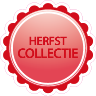 Raamsticker herfst collectie VA-0057