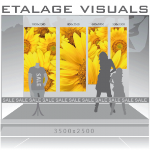 etalage visual zonnebloem VIS-007